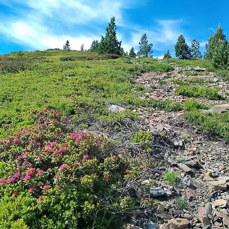 Appartement La Douce'heure Du Climat *
