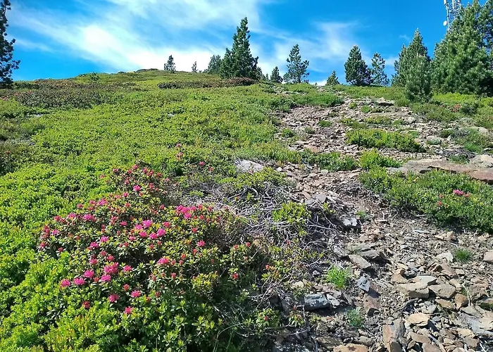 Appartement La Douce'heure Du Climat *